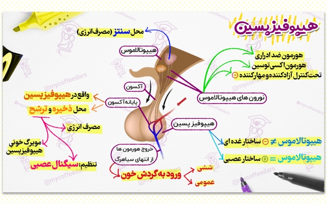 اینفوگرافیک جذاب و با کیفیت طراحی کنم