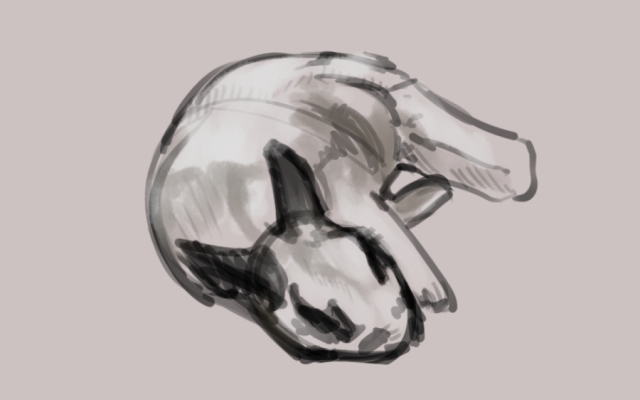 حیوان خانگی شما را نقاشی کنم