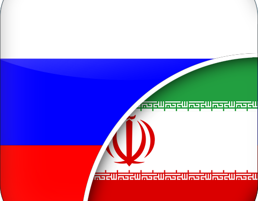 ترجمه متون از روسی به فارسی و از فارسی به روسی را انجام دهم.