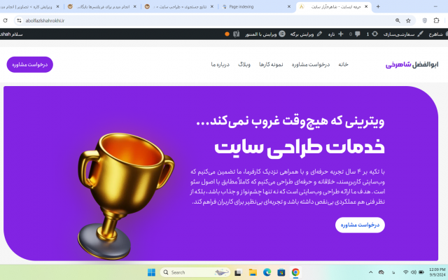 طراحی سایت با وردپرس برای شما انجام دهم