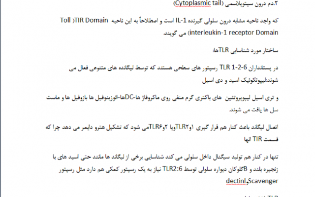 تایپ فارسی انجام دهم