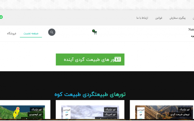 براتون یه وبسایت وردپرسی کامل رو طراحی کنم