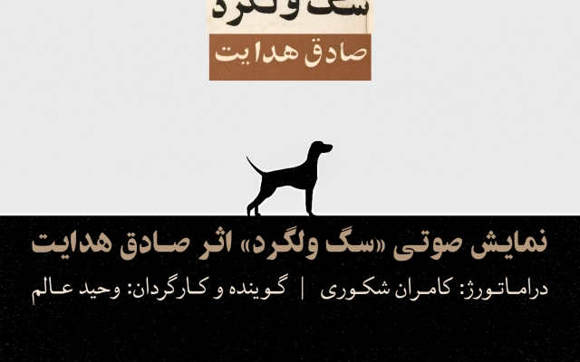 گویندگی تیزهای تبلیغاتی، کتاب ها و ... رو انجام بدم.