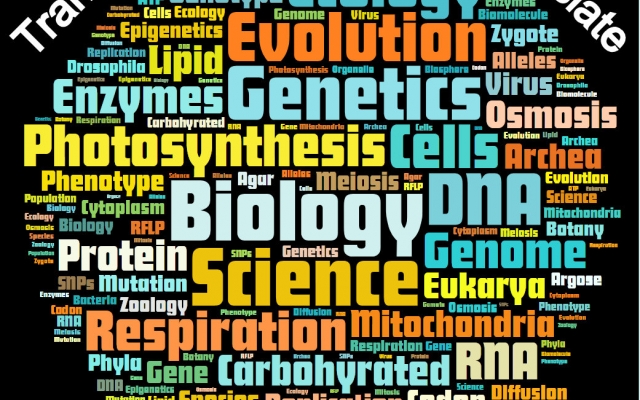 ترجمه متون زیست شناسی، ژنتیک،سلولی،بیوشیمی،پزشکی را باکیفیت علمی بالا انجام دهم
