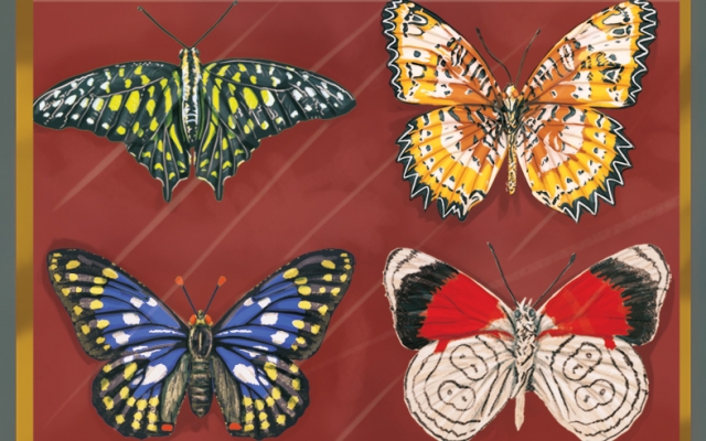 براتون هر آیتمی رو که نیاز داشته باشید رو بکشم