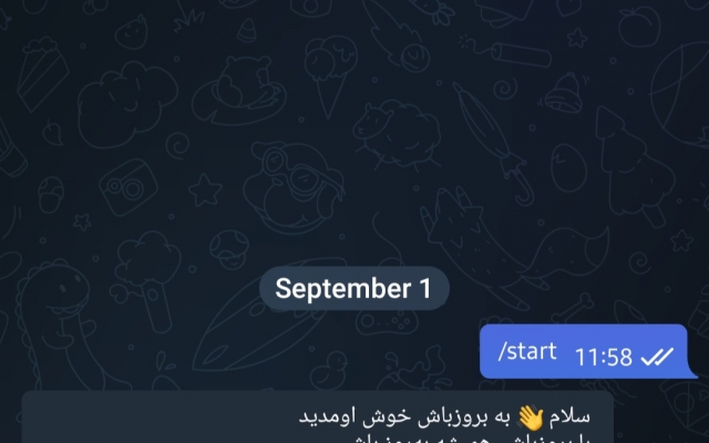 یک ربات تلگرامی مخصوص کسب و کار شما طراحی کنم.