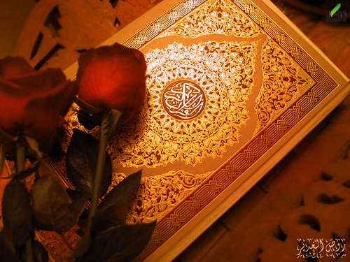 برای اموات شما تو مناسبت ها مثل سالگردشون به نیابت از شما قرآن ختم کنم