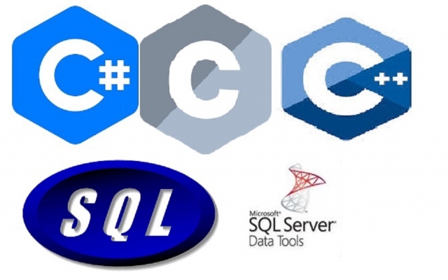 پیاده سازی، طراحی، مشاوره پروژه های نرم افزاری  به زبانهای  C,++Cو#C انجام بدم.
