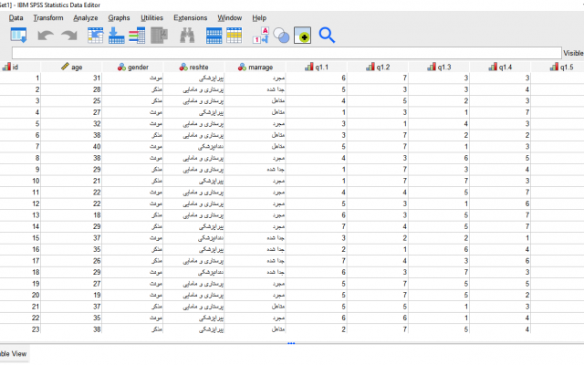 تحلیل های آماری پژوهش شما را با نرم افزار SPSS انجام بدم