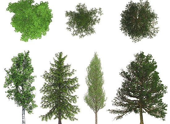 مدلهای سه بعدی از اکثر درختارو بهتون بدم.