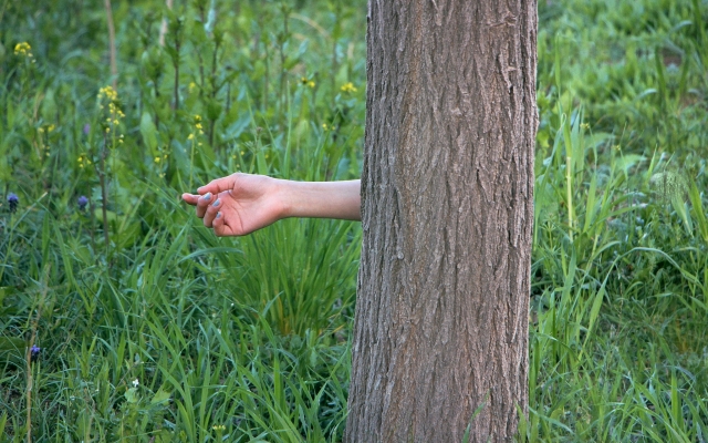 برای موضوع ،مفهوم یا محتوای موردنظر شما عکاسی کنم