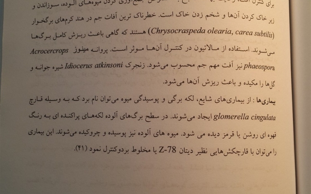 من میتونم هر صفحه متن فارسی را با 400 تومان تایپ کنم