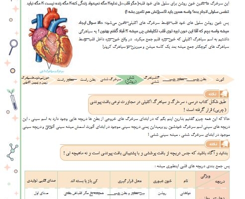 صفحه آرایی کتاب کودک  و بزرگسال انجام بدم