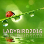 LadyBird2016