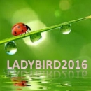LadyBird2016