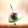 morteza.moharer