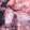 Hame_hasti