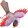 amingh3