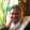 fatemeh.farshidfa-99