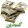kasbdin