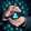 hamed_mohammadpour
