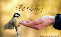 یک-فیلم-انواع-تعقیرات-صداگزاری-ساخت-کیلپ-عکس-فیلم-زیبا-بسازم