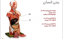 ارائه-پاورپوینت-طراحی-لینکهای-گرافیکی-امکان-کلیک-اجزای-تصاویر
