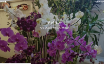 وب-سایت-راه-اندازی-طراحی