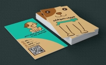 کارت-ویزیت-مدرن-زیبا-شان-حرفه-ارائه