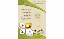 کاتالوگ-بروشور-طراحی