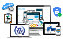 مدیریت-سایت-وردپرسی-عهده