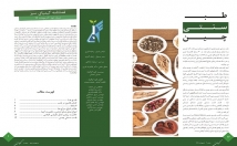 صفحه-آرایی