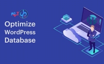 دیتابیس-سایت-وردپرسی-کاملا-بهینه