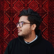 rezaalisafa-45