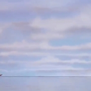 www.mirrezaei.-8